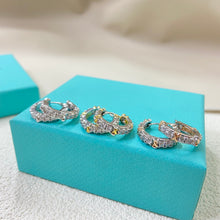 Load image into Gallery viewer, Earrings pre order
